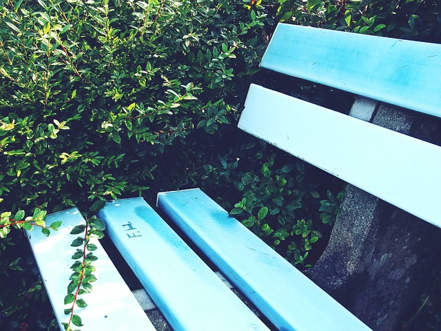 这样的优势 这样的优势