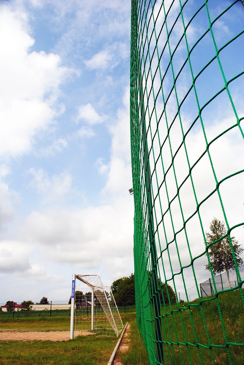 的结果显示 的结果显示