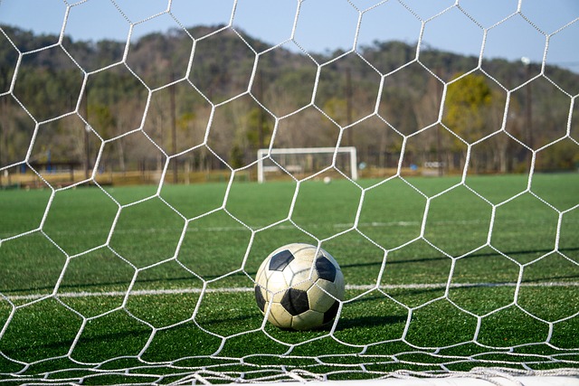 楚地显示出 楚地显示出