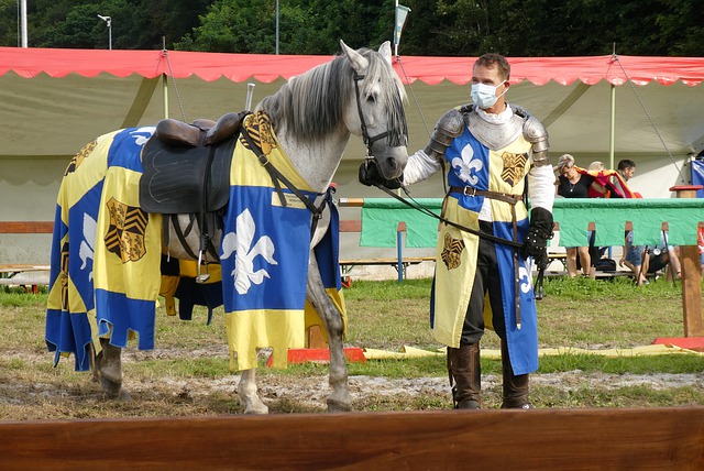 在历届比赛 在历届比赛